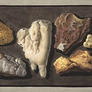 Specimens of volcanic matter taken from the inside of the crater of Vesuvius, 1776
