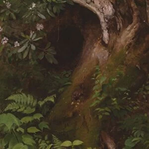 The Squirrel, 1860s / 70s. Creator: Seymour Joseph Guy
