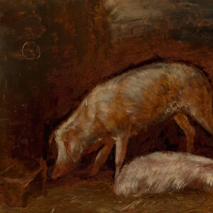 Study of Pigs, 1850 / 60. Creator: Alexandre Gabriel Decamps