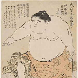 Sumo Wrestler Daidozan Bungoro at the age of 7