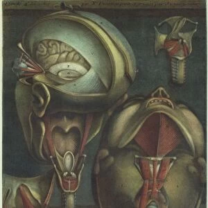 Two Views of the Head, 1746. Creator: Jacques Fabien Gautier Dagoty