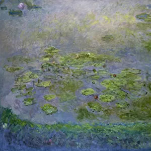 Water lilies and gardens in impressionism.