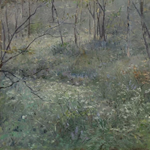 Wild Parsley, 1900. Creator: Sarah Paxton Ball Dodson