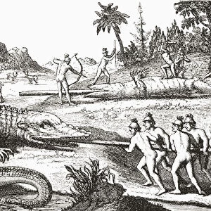 Hunting Alligators In The Southern States Of America, From An Illustration In The 16th Century Book De Brys Travels. From The Strand Magazine Published 1897