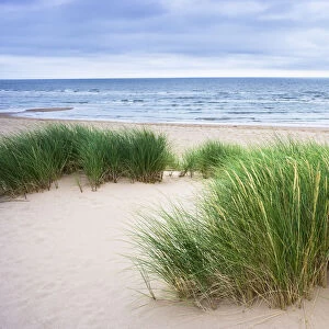 Overview of Sand Dunes, Forvie National Nature Reserve, Aberdeenshire, Scotland
