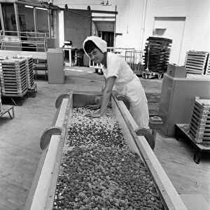 Bassets confectionery factory, Owlerton, Sheffield. 4th September 1967