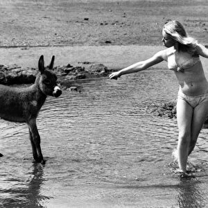 Deidre Baker tries to coax reluctant baby donkey Charlie into the sea at Scarborough