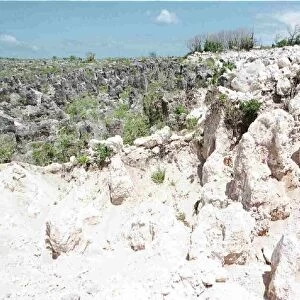 Mining of Nauru has turned the once lush land into a lunar landscape like place