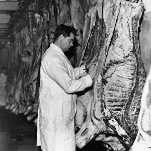 New abattoir supplying Teesside with fresh meat, Marton, Middlesbrough, 8th March 1967