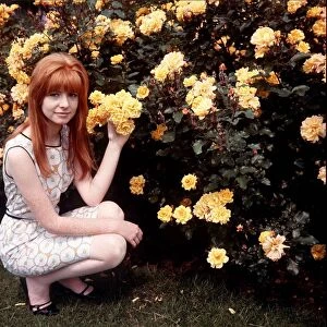 Singer, actress and model Jane Asher