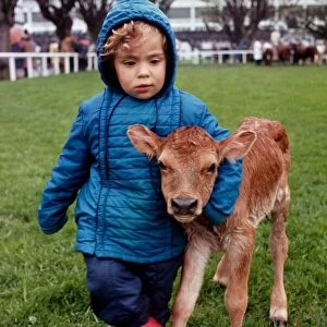 Young Jane Pike with a calf born at the Dublin Spring Show May 1969