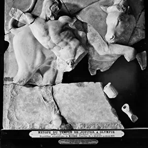 Hercules wrestling with the bull of Crete, fragments of the metope of the temple of Zeus in Olympia, work preserved in the Louvre Museum, Paris