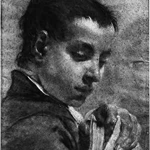 Portrait of a youth with a book. Drawing by Piazzetta preserved in the Galleries of the Academy, Venice
