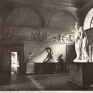 The Room of Marbles at the Villa Carlotta in Tremezzo on Lake Como; the statues of Mars and Venus by Luigi Acquisti and some important works by Canova are recognizable