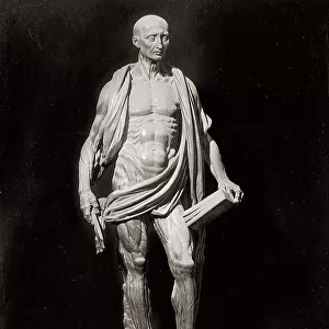 St. Bartholomew skinned. Sculpture by Marco d'Agrate, located in the Cathedral of Milan