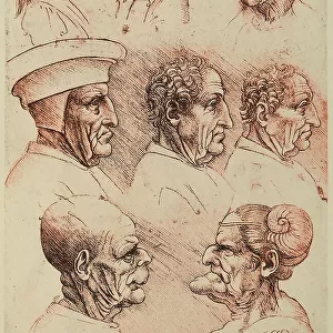 Study of caricatures, pen and sanguine drawing on white paper by Leonardo da Vinci and preserved at the Royal Library of Windsor