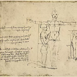 Study of the proportions of the human body, pen drawing on paper turned yellow by Leonardo da Vinci, preserved at the Royal Library of Windsor