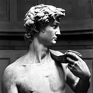 The torso of David by Michelangelo Buonarroti, located at the Academy of Art in Florence