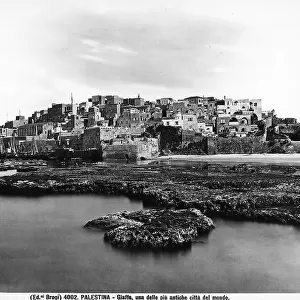 View of the ancient city of Jaffa in Palestine