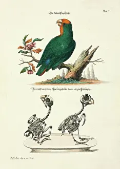 Johann Daniel Meyer Prints: 11972025
