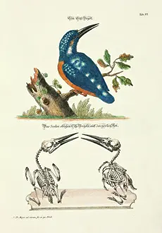 Paul Boyer Prints: 11972026