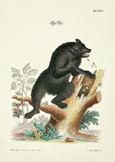 Johann Daniel Meyer Prints: 11972046