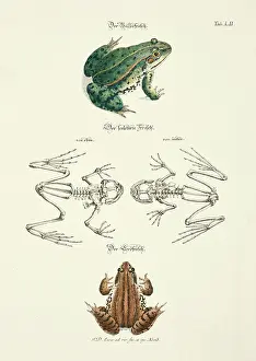 Johann Daniel Meyer Prints: 11972072