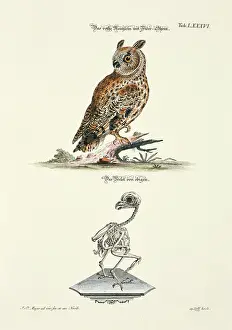 Johann Daniel Meyer Prints: 11972107