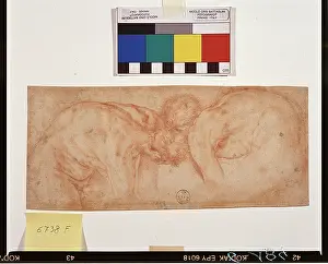 Jacopo Pontormo Prints: 11979232