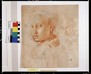 Pomtormo Jacopo Da 1494 1557 Prints: 11979237