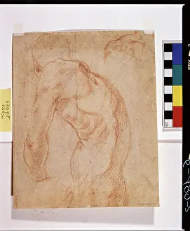 Pomtormo Jacopo Da 1494 1557 Prints: 11979247