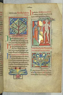English Or French School Prints: 11989757