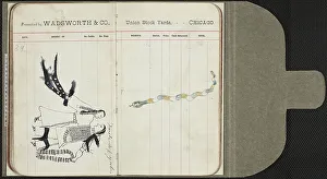 Ledger Drawings Prints: 3672722