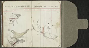 Ledger Drawings Prints: 3672725