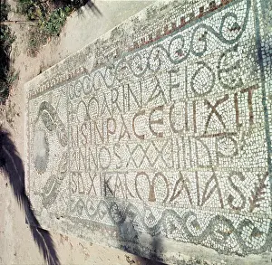 Roman Prints: 55842