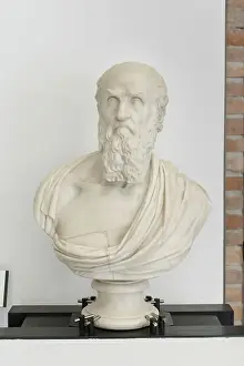 7335405