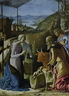 Francesco Di Giorgio Martini Prints: 7336502