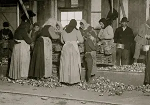 Packing Prints: 8 years old stands on rough, sharp shells. 1911 (photo)