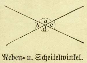 Geometry Prints: Adjacent angle and vertical angles
