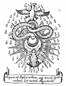 Alchemy Prints: Alchemical symbolism: toad and serpent represent two basic types of element