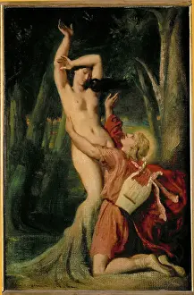 Metamorphosed Prints: Apollo and Daphne