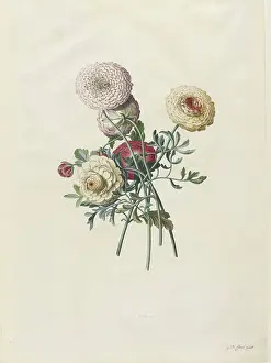 Joaquin Torres-Garcia Prints: Asters