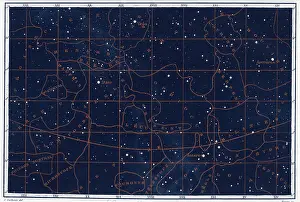 Blank Prints: Astronomy. Celestial Constellations