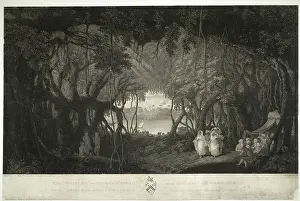 Jungle Prints: Banyan Tree