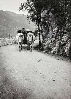 Coachman Prints: Barrow around Como