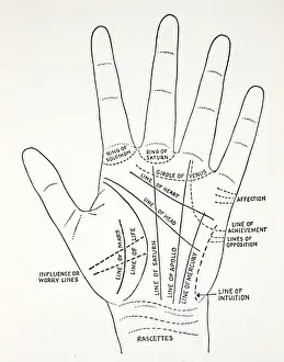 Basic Lines and lesser lines of the hand (litho)