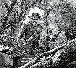 Honey Prints: A beekeeper