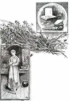 Honey Prints: A beekeeper