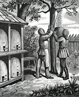 Honey Prints: Beekeepers