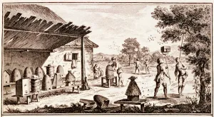 Hive Prints: Beekeeping, from Dictionary of Sciences, c. 1770 (engraving) (detail of 746836)